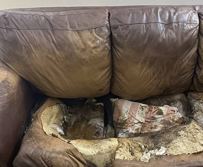 Her decomposing body was found on the sofa in her home
