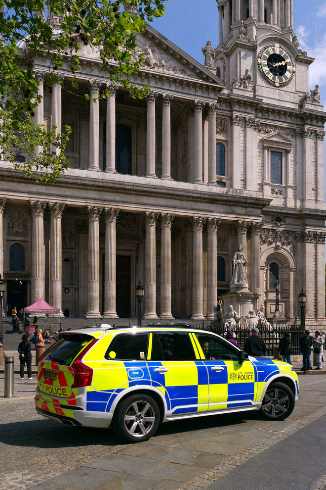A man has been stabbed to death near St Paul's Cathedral in London.