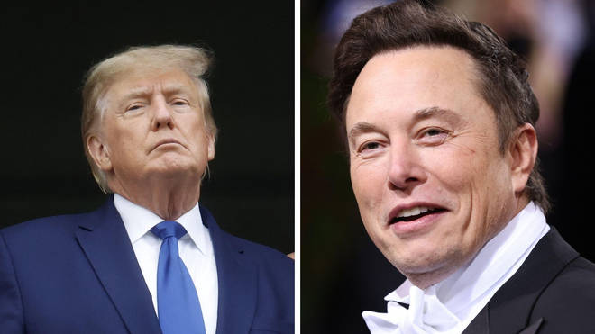 Elon Musk would allow Donald Trump to return to Twitter