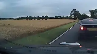 Dash-cam captures the chase in Suffolk