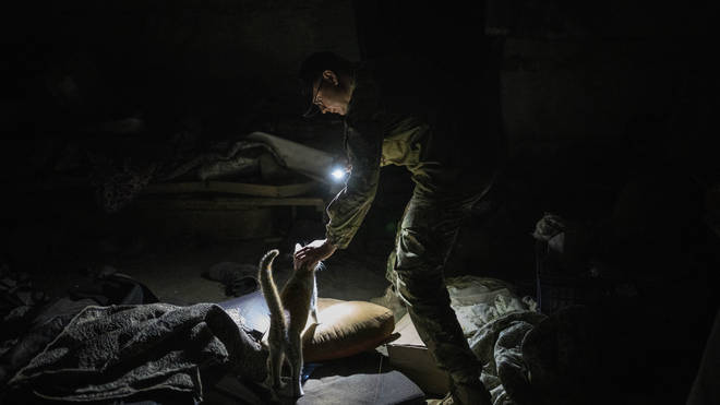 A Ukrainian soldier pets a cat