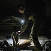 A Ukrainian soldier pets a cat