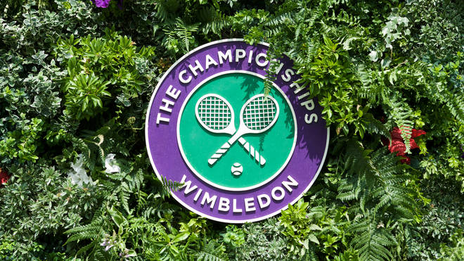 Wimbledon chairman Ian Hewitt said the UK Government had left them with "no viable alternative"
