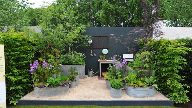 The Wild Kitchen Garden: This brings wild edible plants and trees into a small urban setting at the Royal Chelsea Flower Show which is set to open to the public on Tuesday.