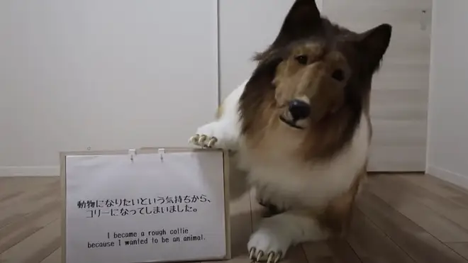 A Japanese man spent around 2m yen on a realistic costume to look like his favourite breed of dog