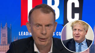 Andrew Marr said the Tories will have to vote on whether they want 'chaos'