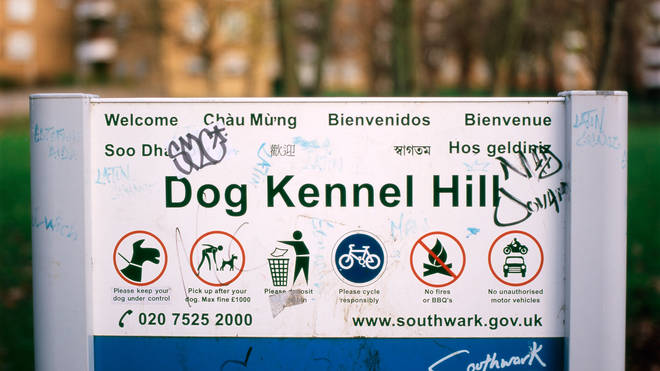 The incident took place in Dog Kennel Hill Park, East Dulwich while Phillips was on duty
