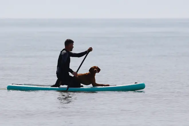 A man takes his dog for a paddle in Hastings, East Sussex