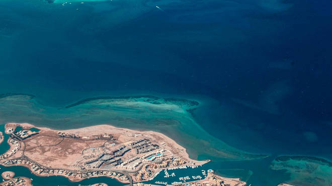 A woman died after losing an arm and a leg in a shark attack off the coast of Hurghada, Egypt