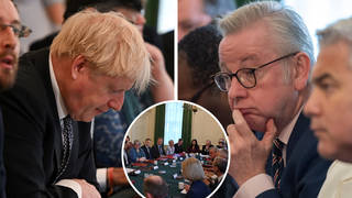 Boris Johnson sacked Michael Gove on Wednesday night after he called for the Prime Minister to step down