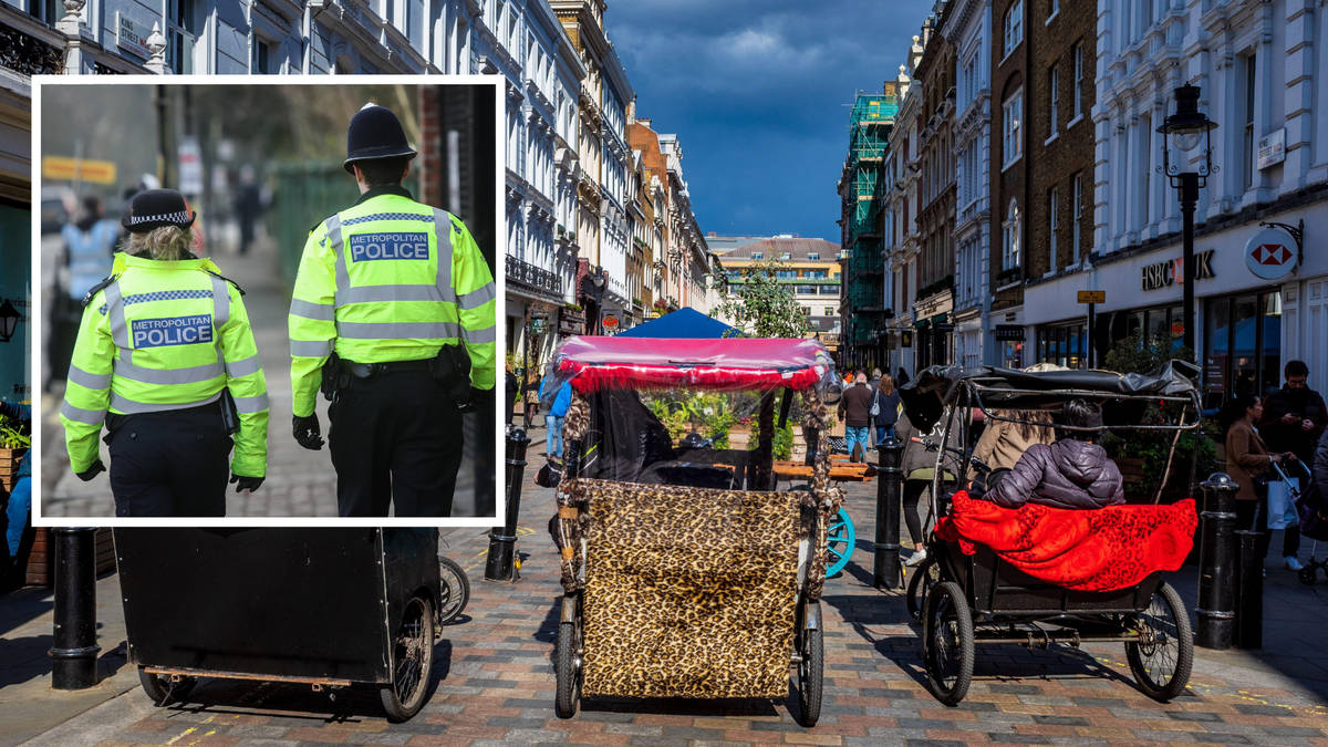 Woman in her 20s killed in a pedicab crash in south London