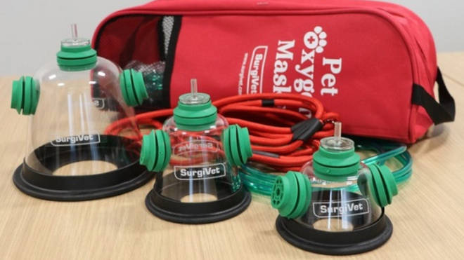 One of the new specialist pet oxygen masks from Smokey Paws.