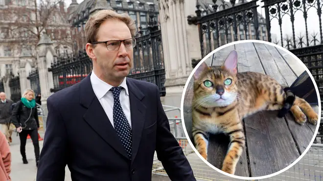 Tobias Ellwood has been accused of running over a bengal cat