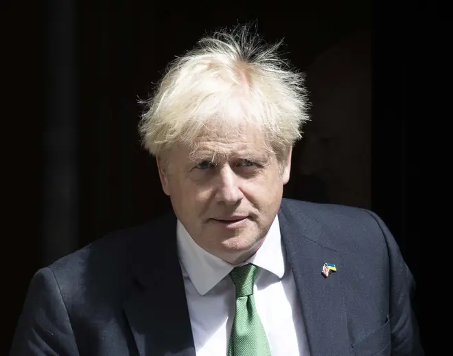 Boris Johnson was said to be privately telling defeated Tory leadership candidates he wanted "anyone but Rishi"