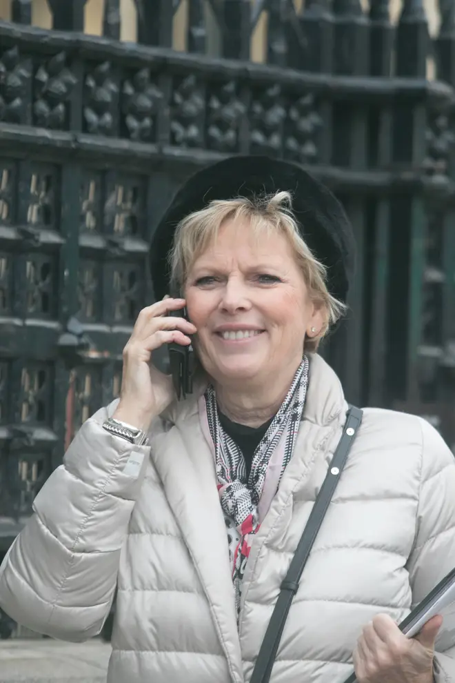 Anna Soubry in Westminster