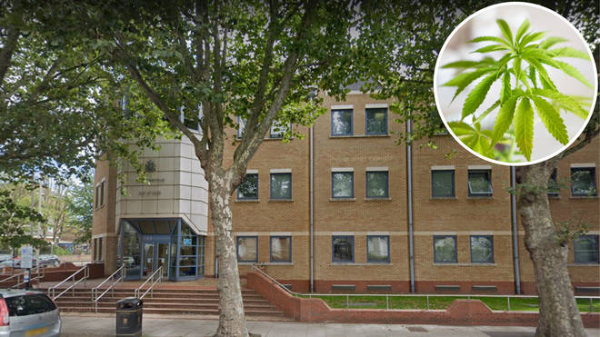 A large cannabis factory has been found in a former police station in Manchester Road on the Isle of Dogs