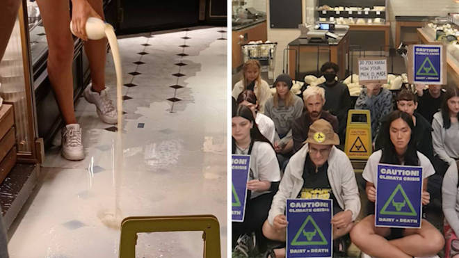 Vegan activists have poured milk on the floor in Harrods and "occupied" the cheese aisle in Waitrose in a protest over the dairy industry