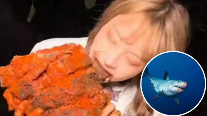 Tizi filmed herself cooking at eating a shark, which police have since said was a great white