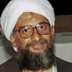 Ayman al-Zawahri was killed in a US drone strike (AP)