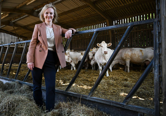 Liz Truss visiting a farm while campaigning on Monday