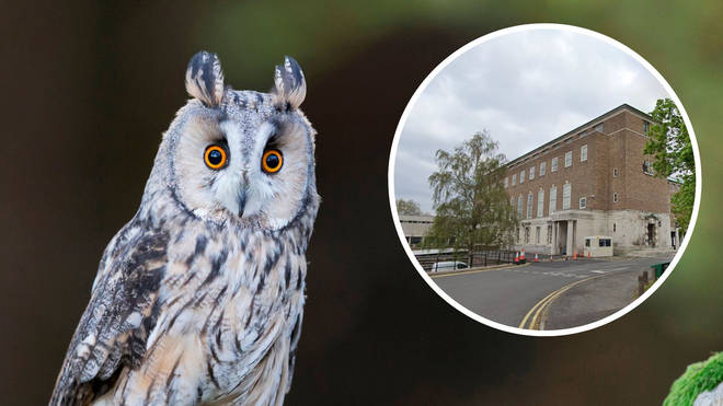 Nottinghamshire County Council ordered the site to shut over fears for owls that apparently left years ago