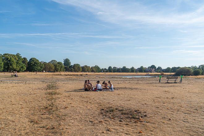 The parched grass of Wimbledon Common pictured today