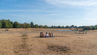The parched grass of Wimbledon Common pictured today