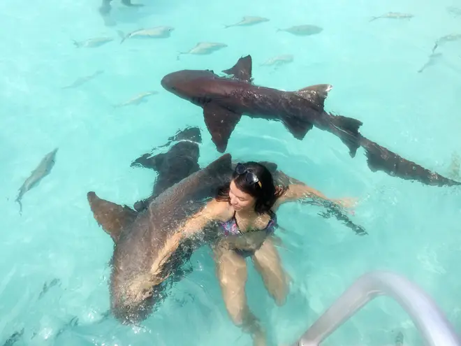 Woman swimming with nurse sharks in the Bahamas