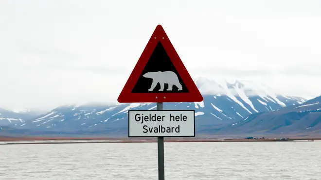 Polar Bear Warning Sign
