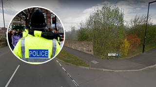 Police have arrested a teenage boy on suspicion of rape after a 13-year-old girl was assaulted