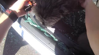 Police pulled the dog to safety by breaking a car window