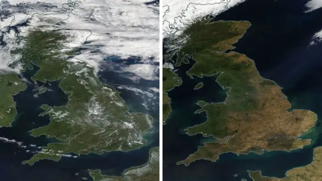 The UK's green landscape (left) pictured in July 2021, compared to (right) a satellite image taken yesterday