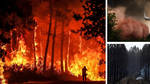 Huge fires have been ravaging parts of southern France