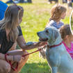 A dog show has come under fire for going ahead in the blistering 35C heat
