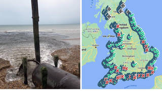 Anger as Southern Water ‘unsure’ how many litres of sewage released at closed beaches