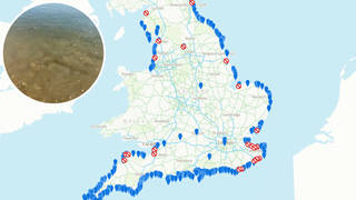 The Environment Agency has issued 'do not swim' orders for 22 beaches in England amid fears sewage discharged from rainwater overflows may have polluted the waters.  