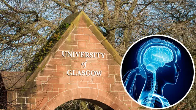 A professor at the University of Glasgow showed students a 'joke diagram' of the female brain