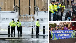 Ten people have been arrested after Animal Rebellion threw paint over the front gates of the Palace of Westminster