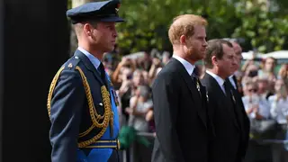 William and Harry march shoulder-to-shoulder in the Queen's procession