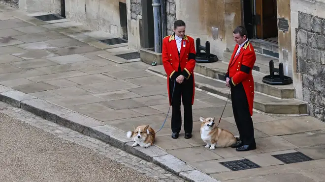 The Queen's corgis made a special appearance inside Windsor Castle for the monarch's funeral