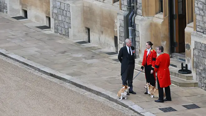 Prince Andrew stands with the Queen's corgis at Windsor Castle