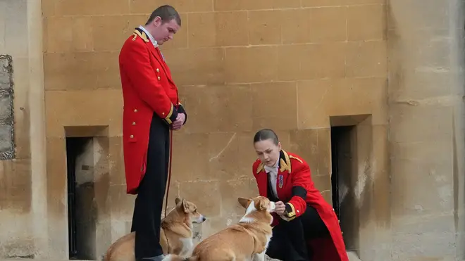 The Queen's corgis will feel the loss of their owner