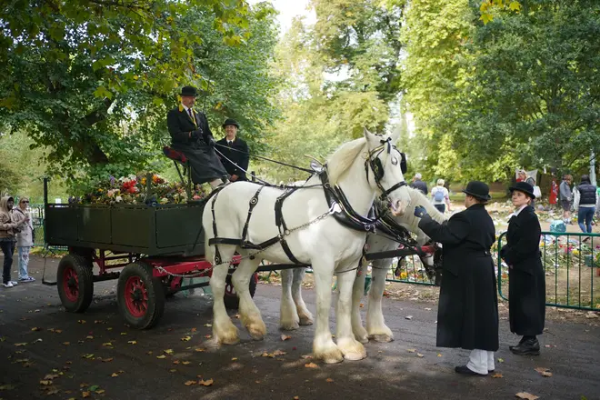 Two shire horses begin removing floral tributes left for the Queen