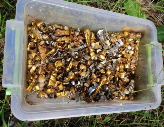 Box of gold teeth yanked out of Ukrainians