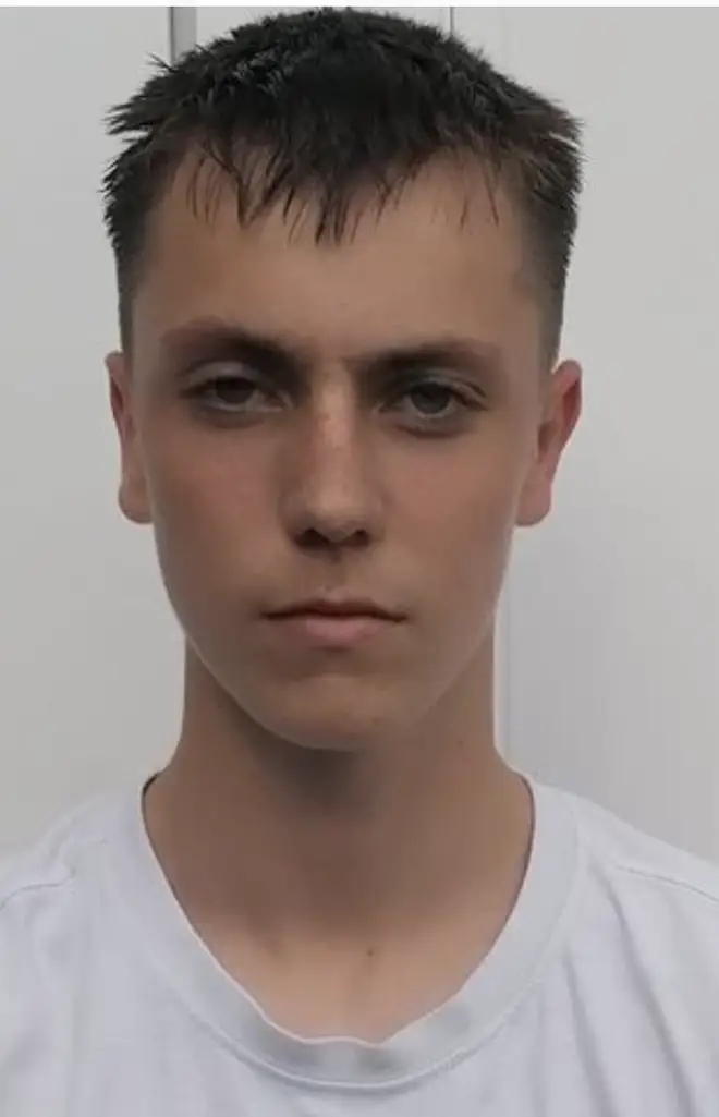 Tomas Oleszak, 14, who was stabbed to death
