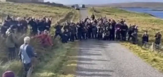 Mob of birdwatchers around a rare migratory warbler