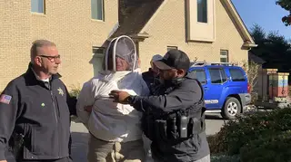 Bee Attack Deputies