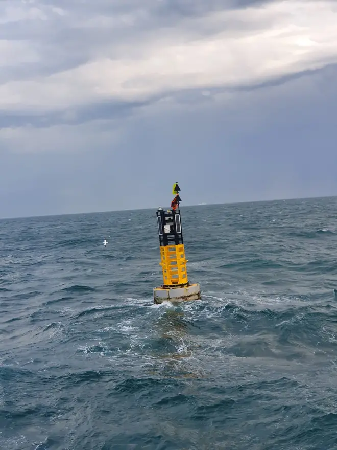 The kayaker was found clinging to a buoy