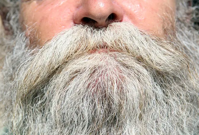 Man's beard