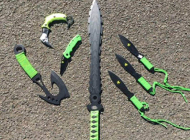 The kind of "zombie knives" used in stabbings